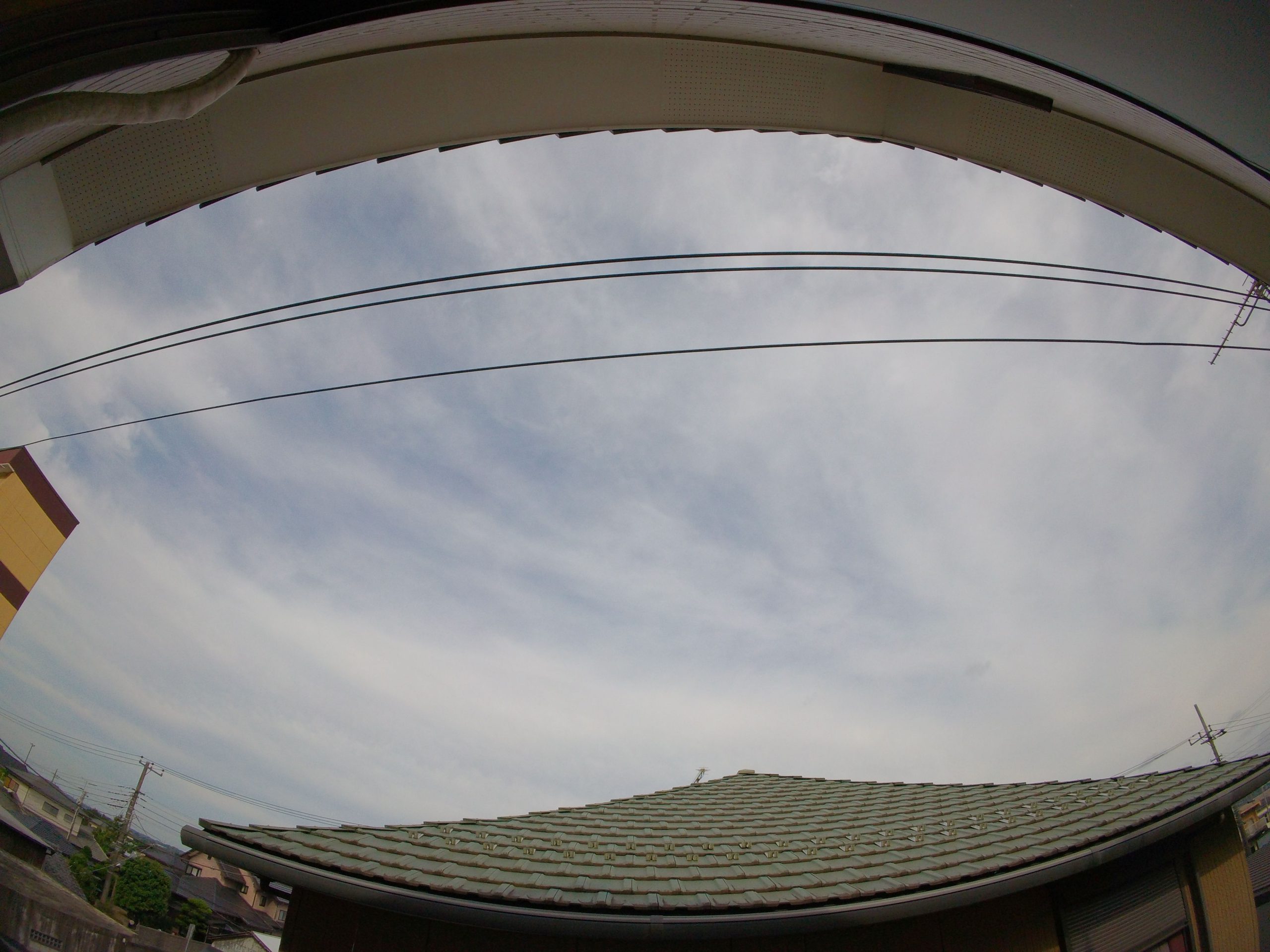 鬱っぽい　250623